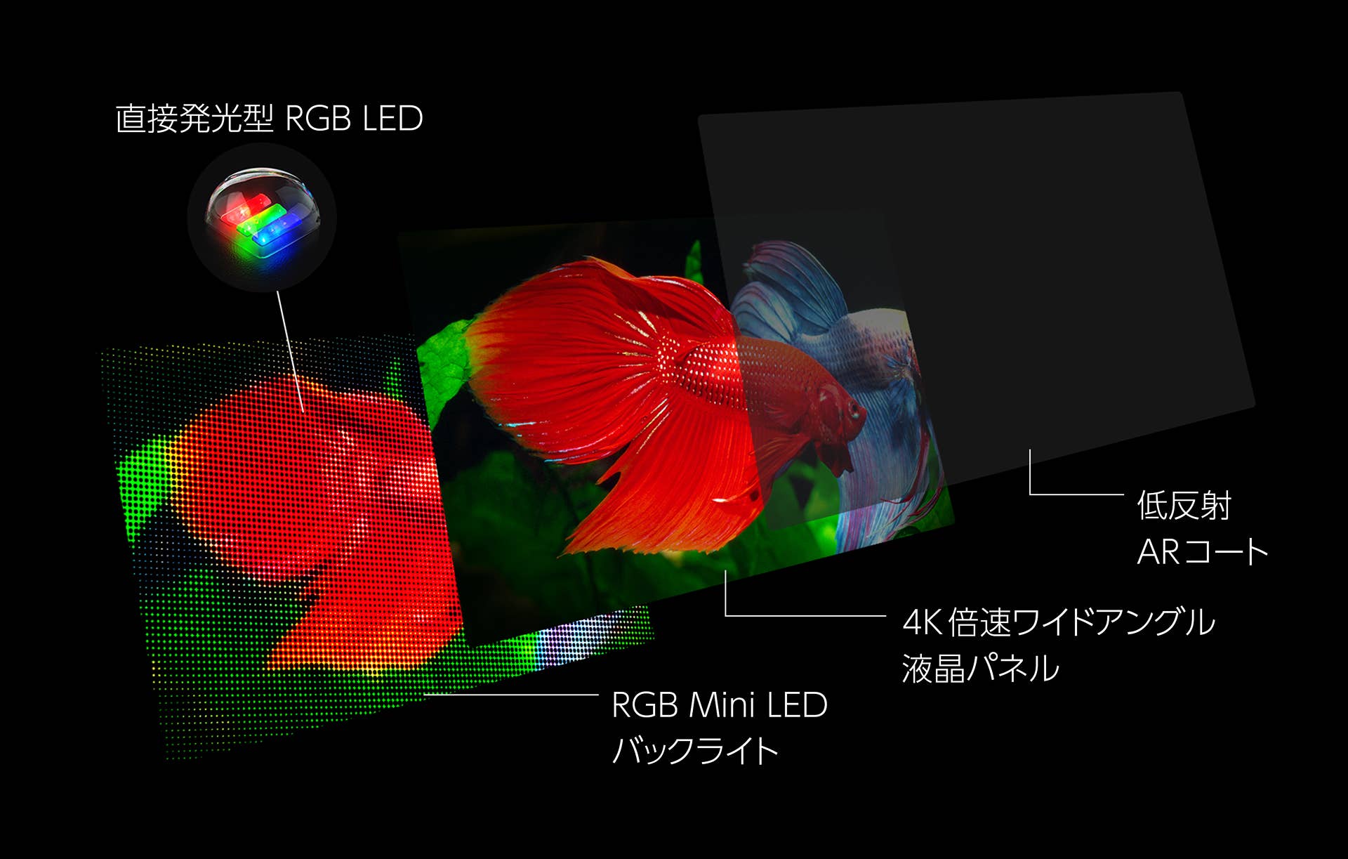 REGZA【決まりました】 sddefault.jpg